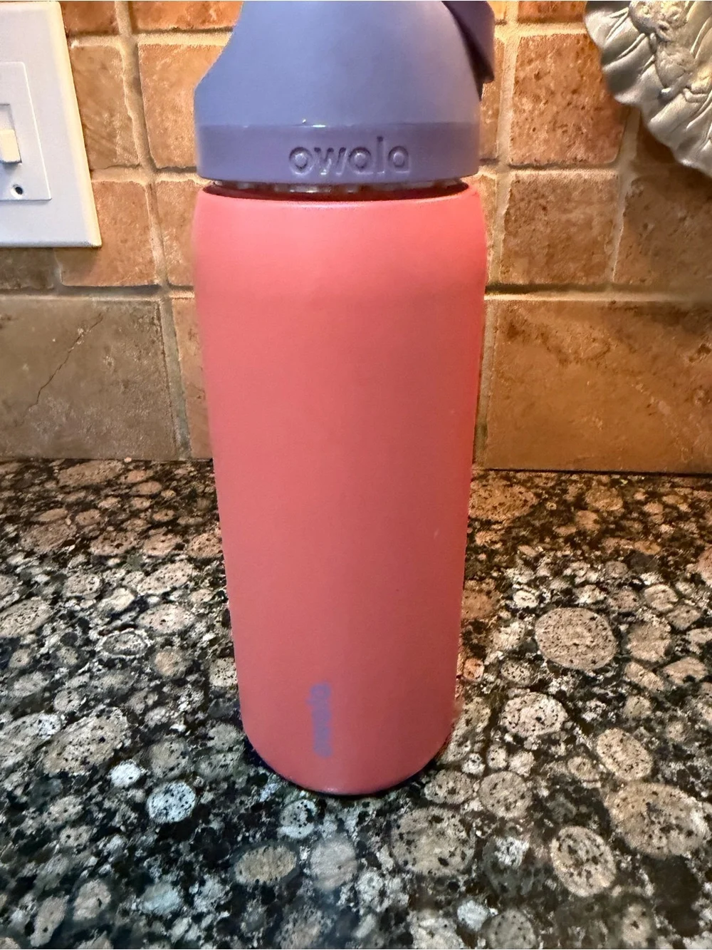 owala insulated water